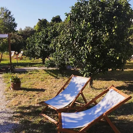 Quinta Do Marinheiro - Meco Aldeia do Meco